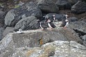 Islande_J8_069
