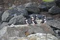 Islande_J8_070