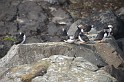 Islande_J8_072