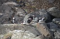 Islande_J8_073