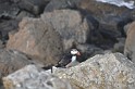 Islande_J8_074