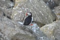 Islande_J8_075