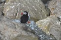 Islande_J8_080