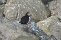 Islande_J8_081