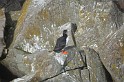 Islande_J8_082
