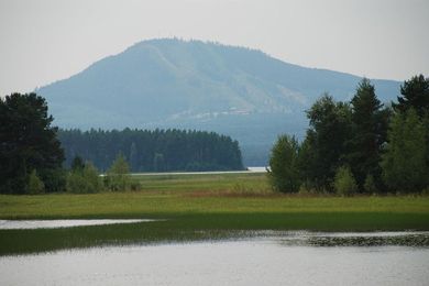 Mora