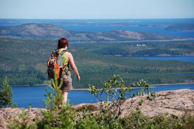 Norrfällsviken