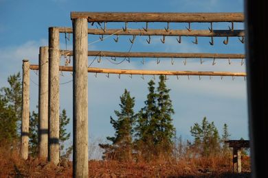 Norrfällsviken