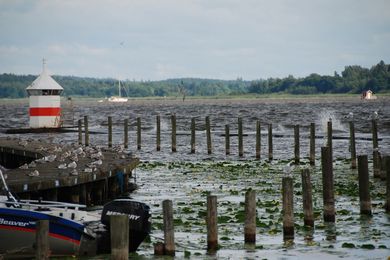 Mälar